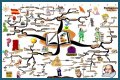 An Interpretation of Shakespeare's Comic Tools
