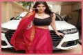 Sherlyn Chopra - Bio, Age, Wiki, Facts and Family